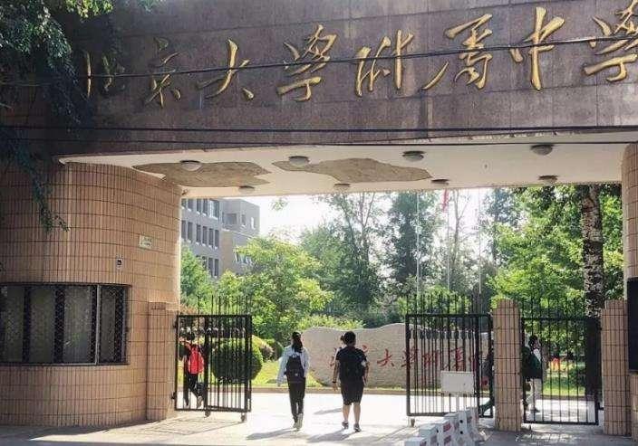 北京大学附属中学道尔顿学院国际高中课程(图1)